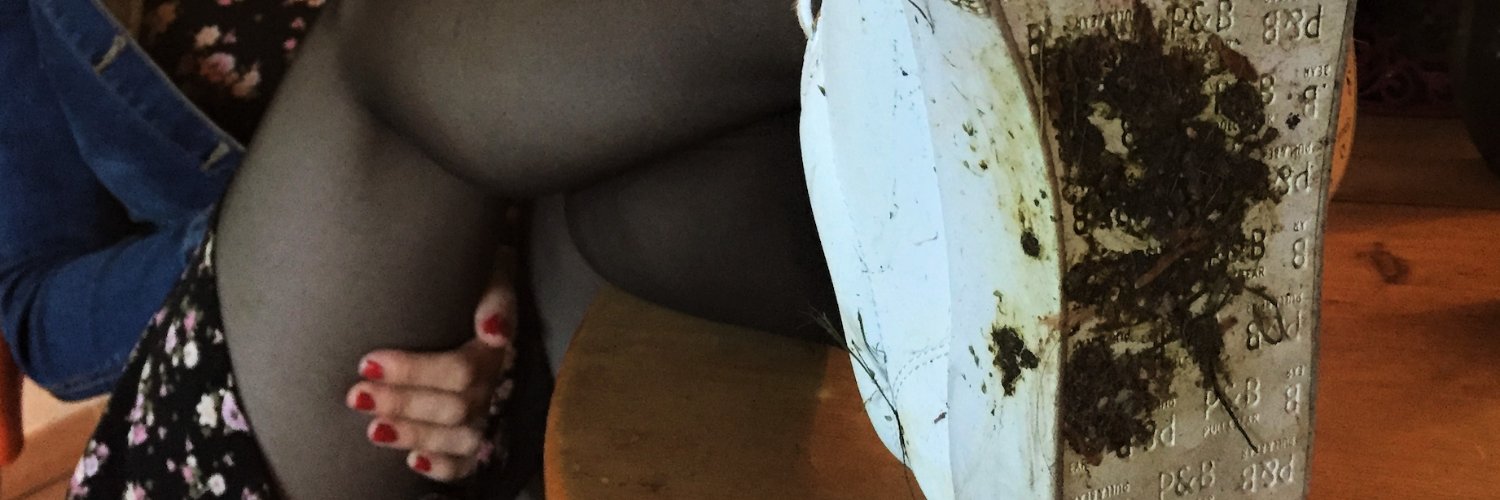 tion_lucas's profile banner image