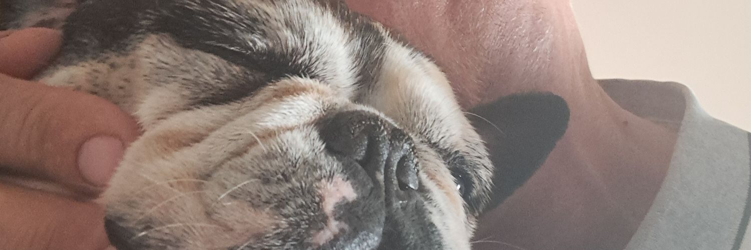 PhilippeFleury2's profile banner image