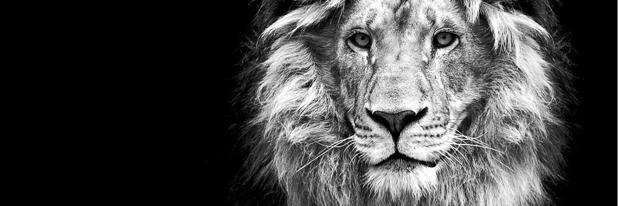 Achopp12's profile banner image