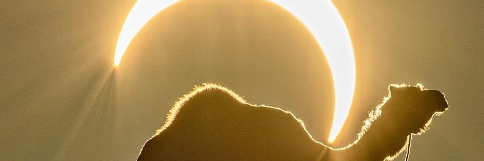 alrasi18's profile banner image
