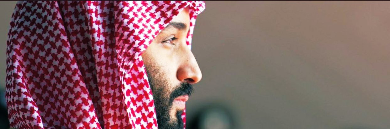 ALiAlwohaibi's profile banner image