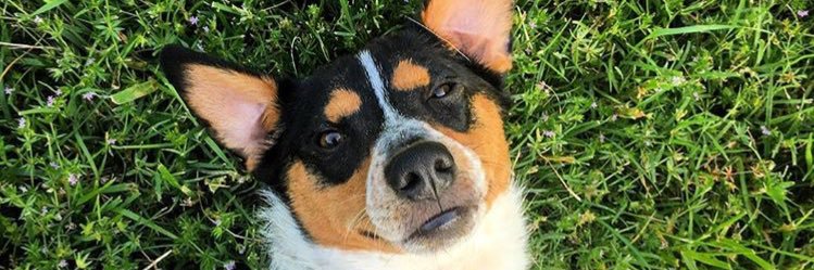 kaylees26's profile banner image