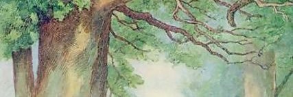 spellbindastory's profile banner image