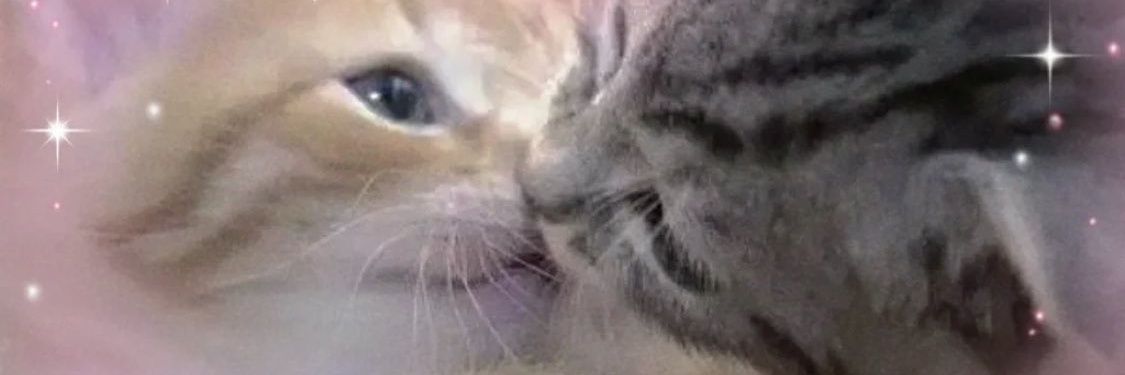 nyath_'s profile banner image