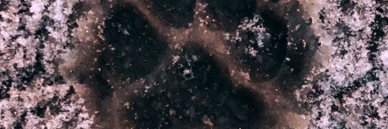 ClaudiaaaAlonso's profile banner image