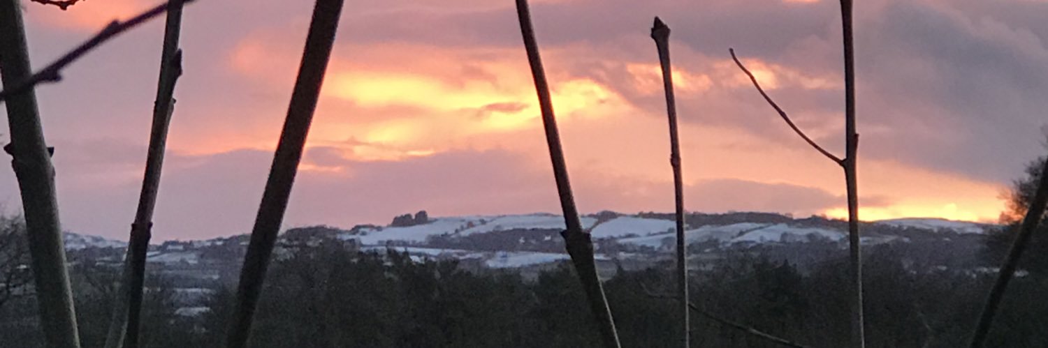 PetersClodagh's profile banner image