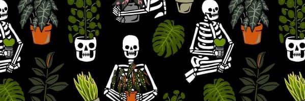 m_urick's profile banner image