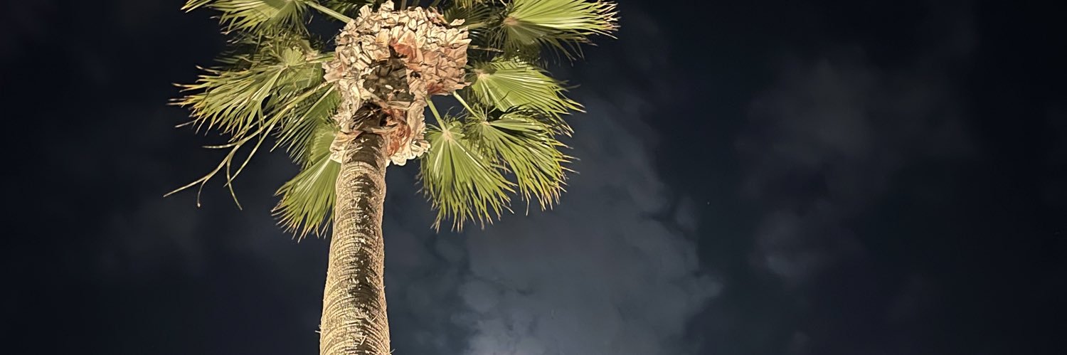 whistleee_'s profile banner image