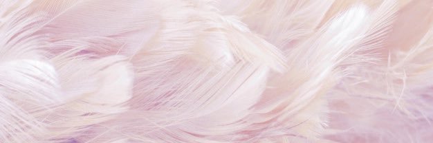 Siantrotter's profile banner image