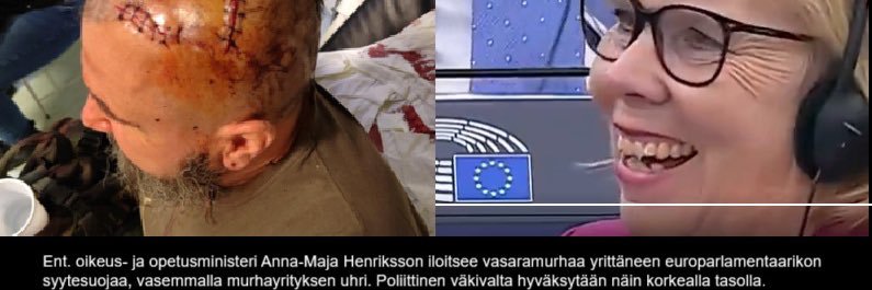 Sukupuolentutkimuksen professori banner