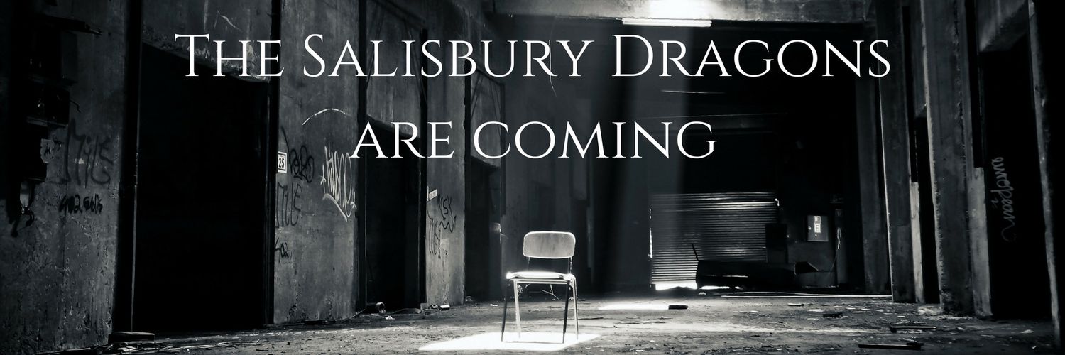 Salisbury_Young_Chamber banner