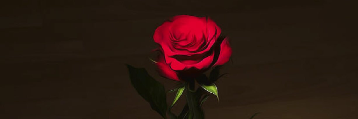 KingsleyJr29's profile banner image