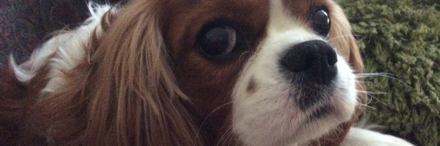 FionaBell109's profile banner image