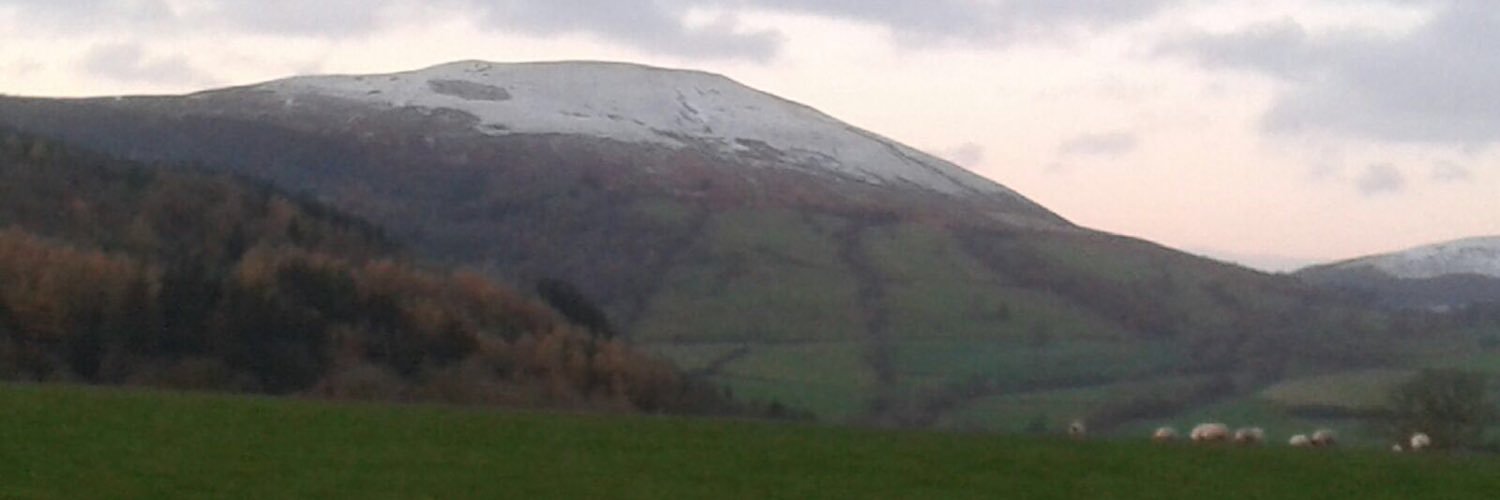 Glanpant Bach banner