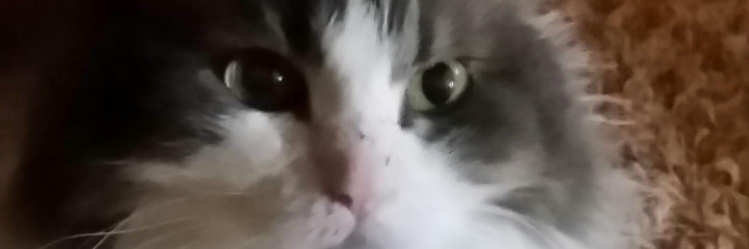 rainnie00's profile banner image