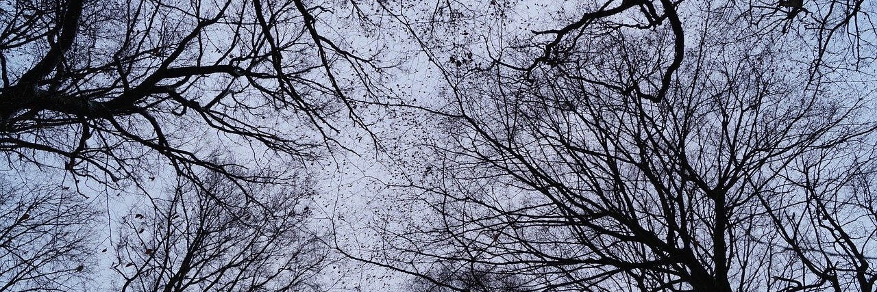 Beñat Hach Embarek Irizar banner