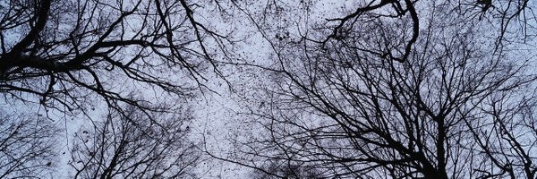 hatxen Profile Banner