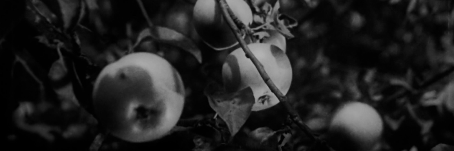 mieniailenko's profile banner image