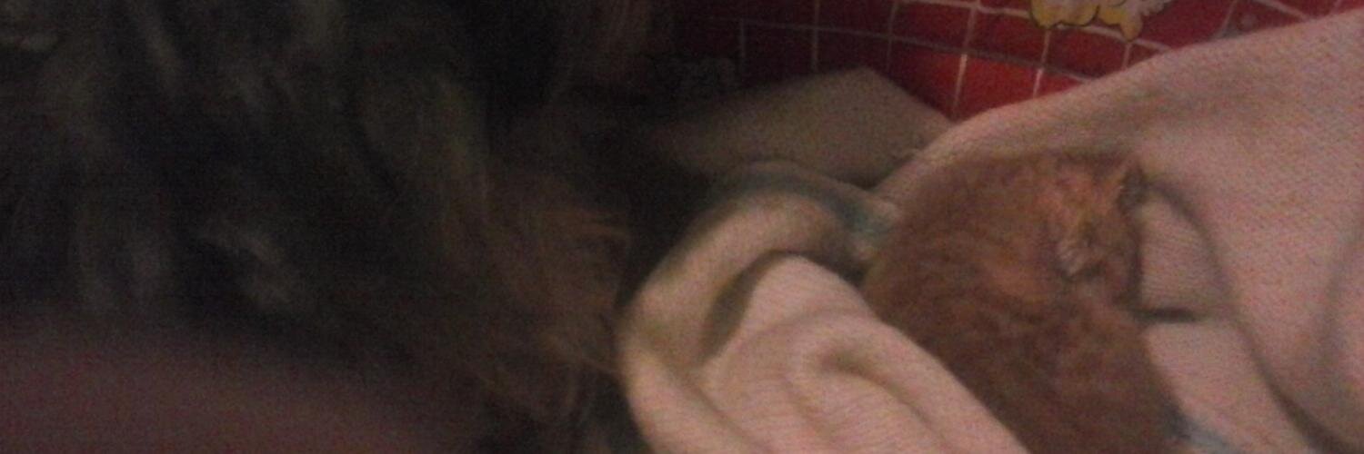 mariarusso26's profile banner image