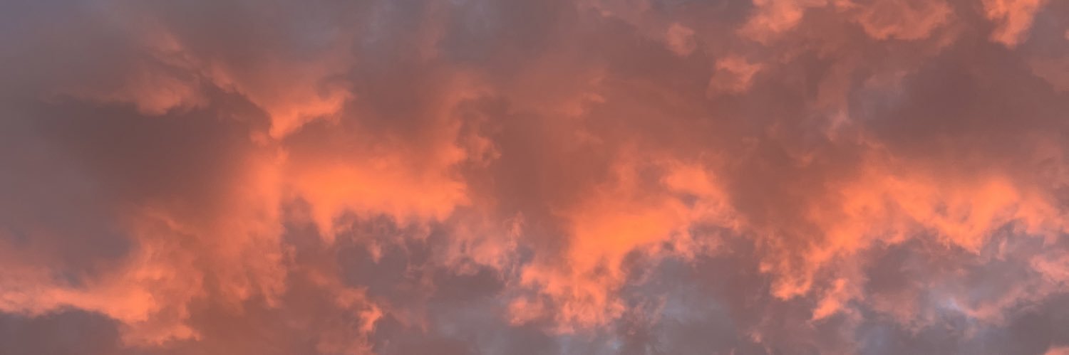 sydjanex's profile banner image