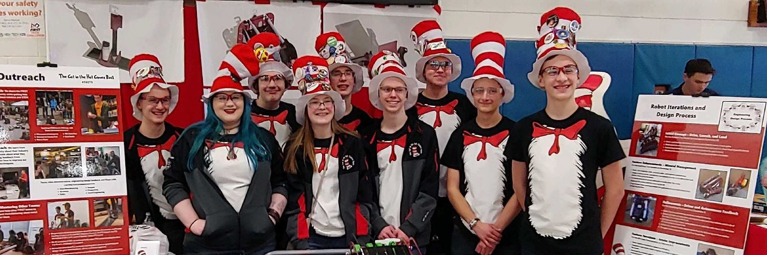 Cat in the Hat 10273 banner