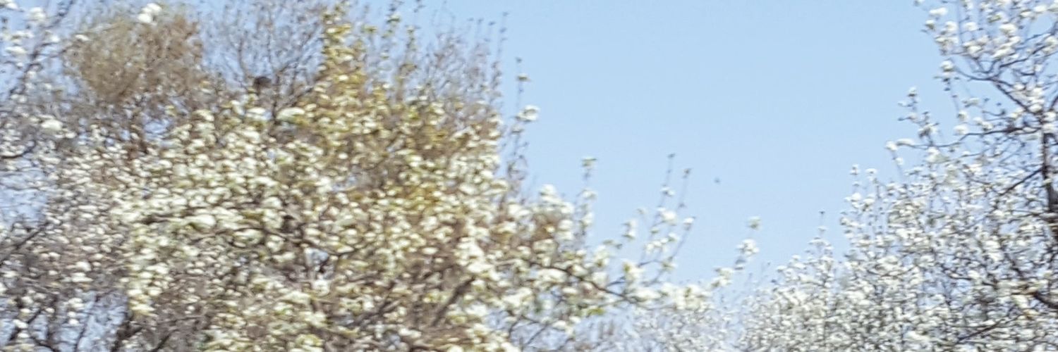 metatus's profile banner image