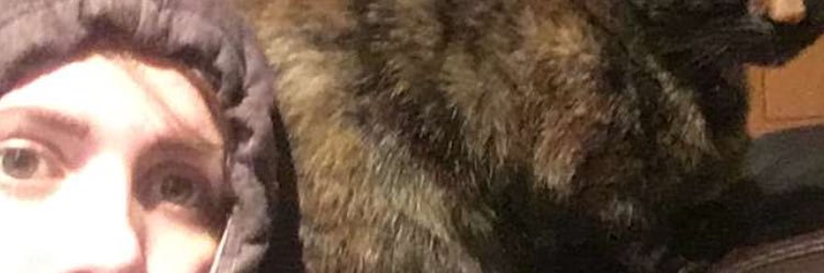 erinmate_'s profile banner image