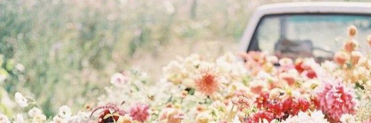 brittlashea90's profile banner image