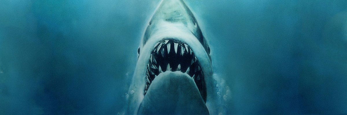 NewAgeFilms1's profile banner image