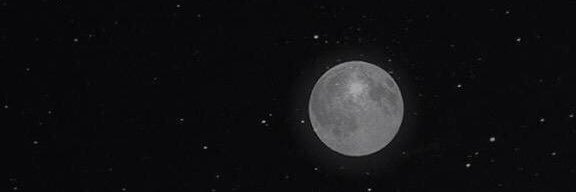 memo1098's profile banner image