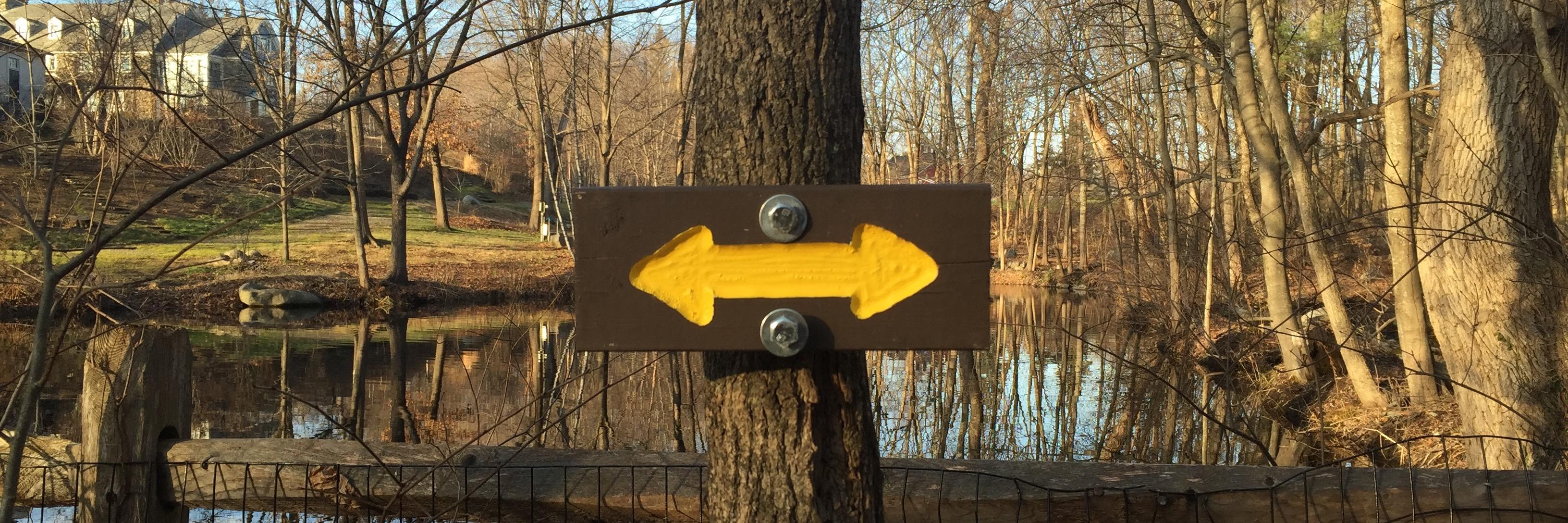 Ryan Laughlin banner