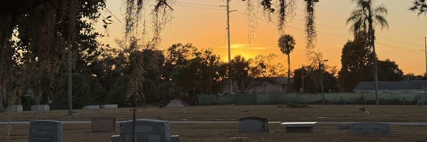 beancurve's profile banner image