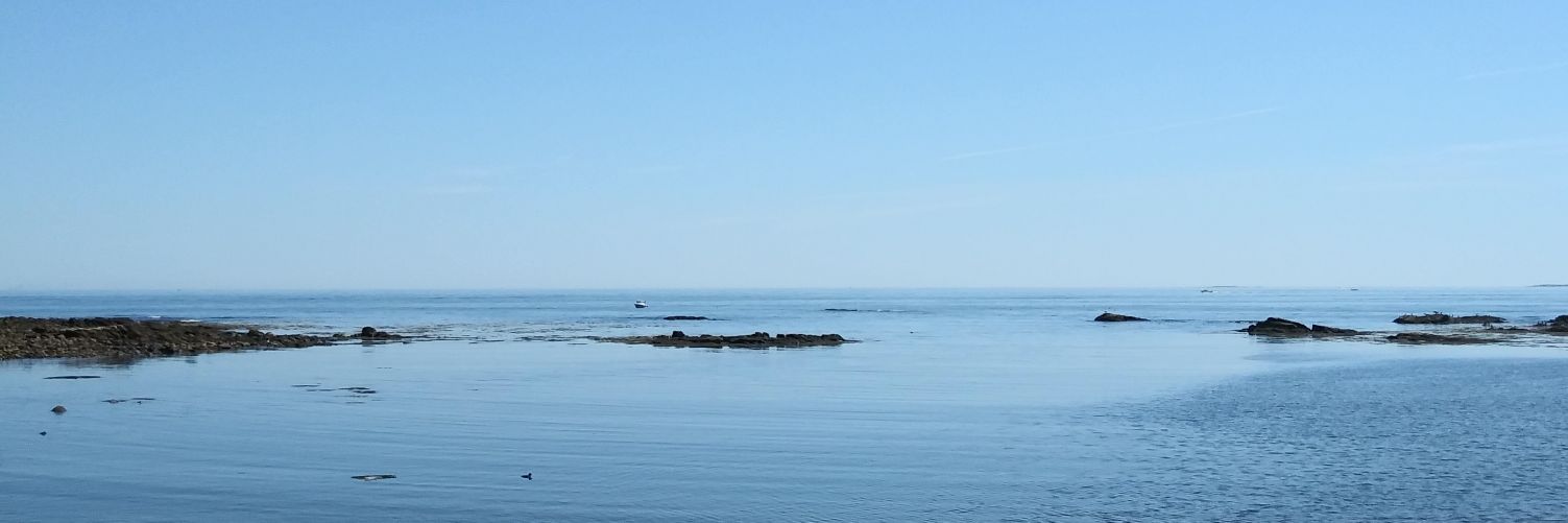 bionecrologyfdr's profile banner image
