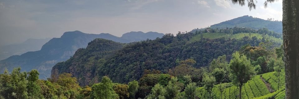 Daniel_Cahen's profile banner image
