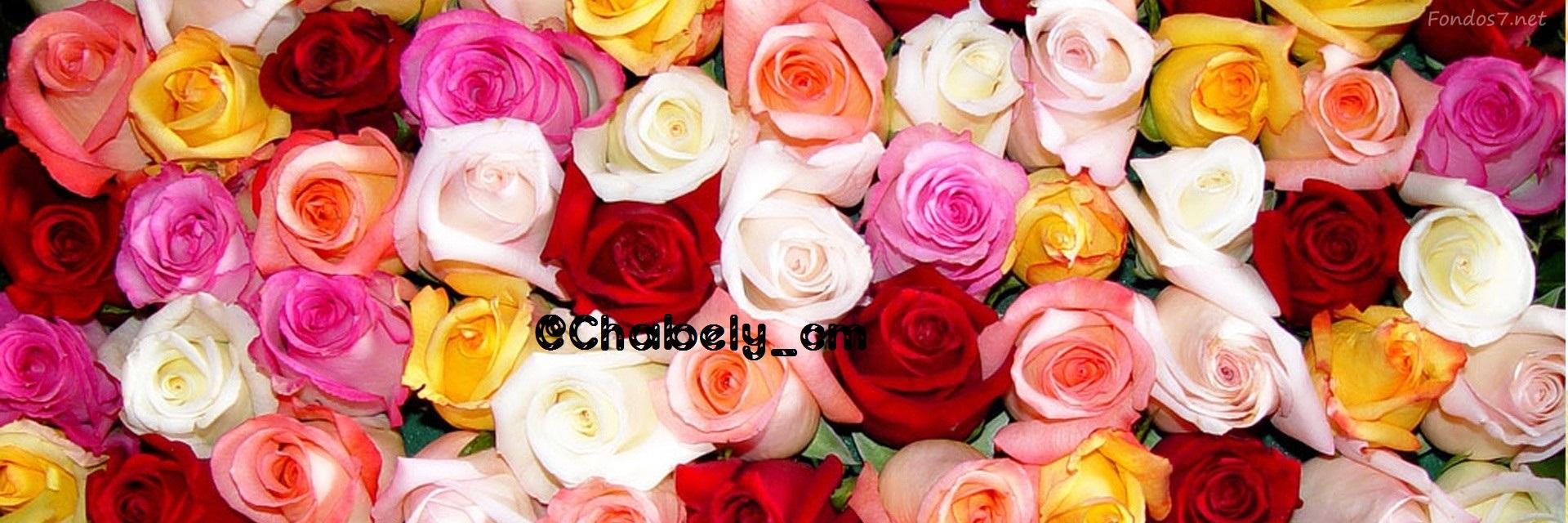 chabely_cm's profile banner image
