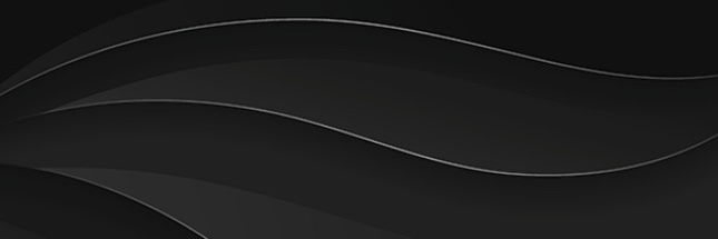 Vildan Hasanbegovic banner