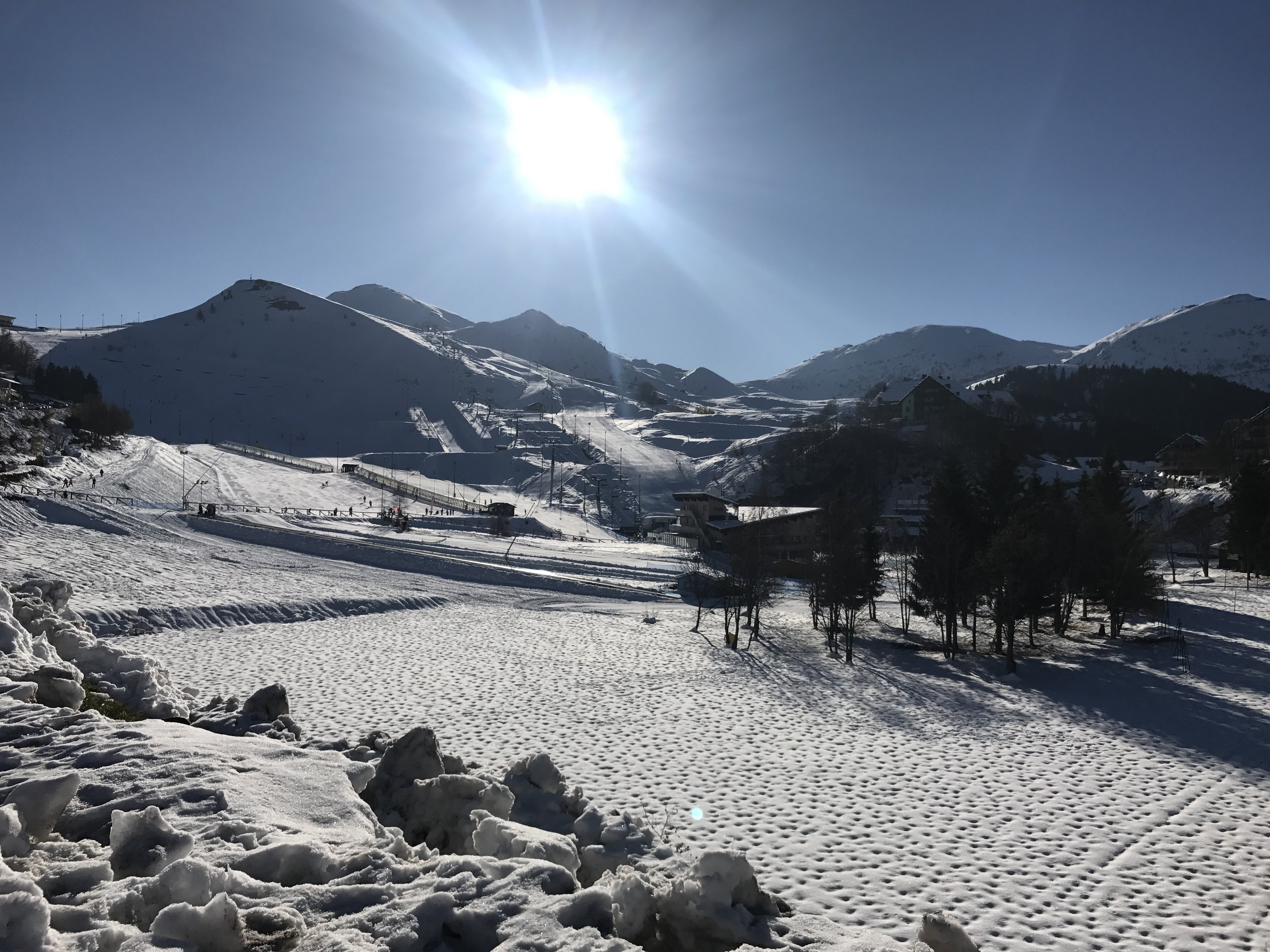 simonettasaveri's profile banner image