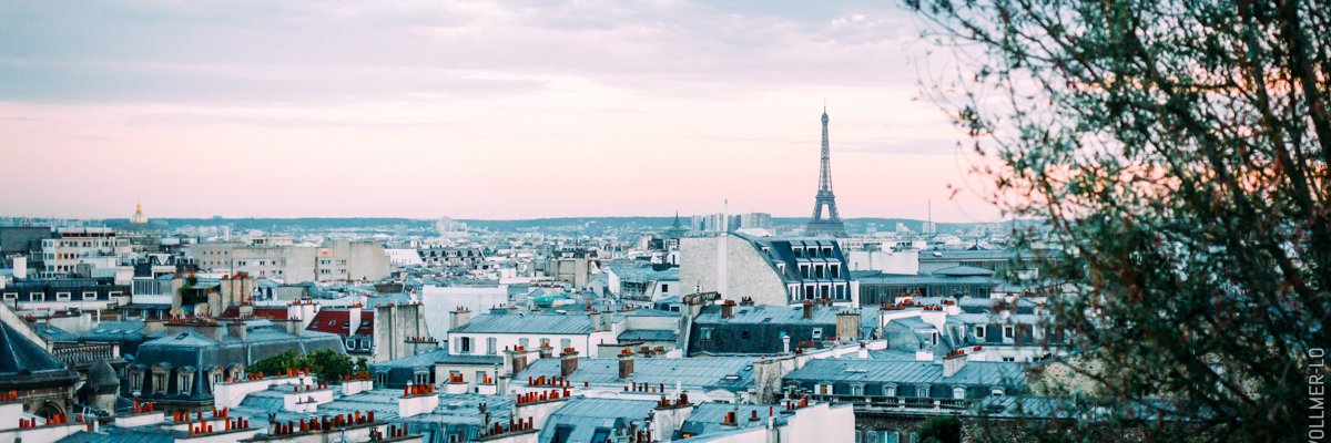 Monelle Barthélemy banner