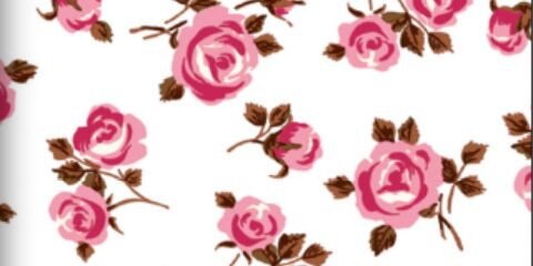 _kusjesesmee's profile banner image