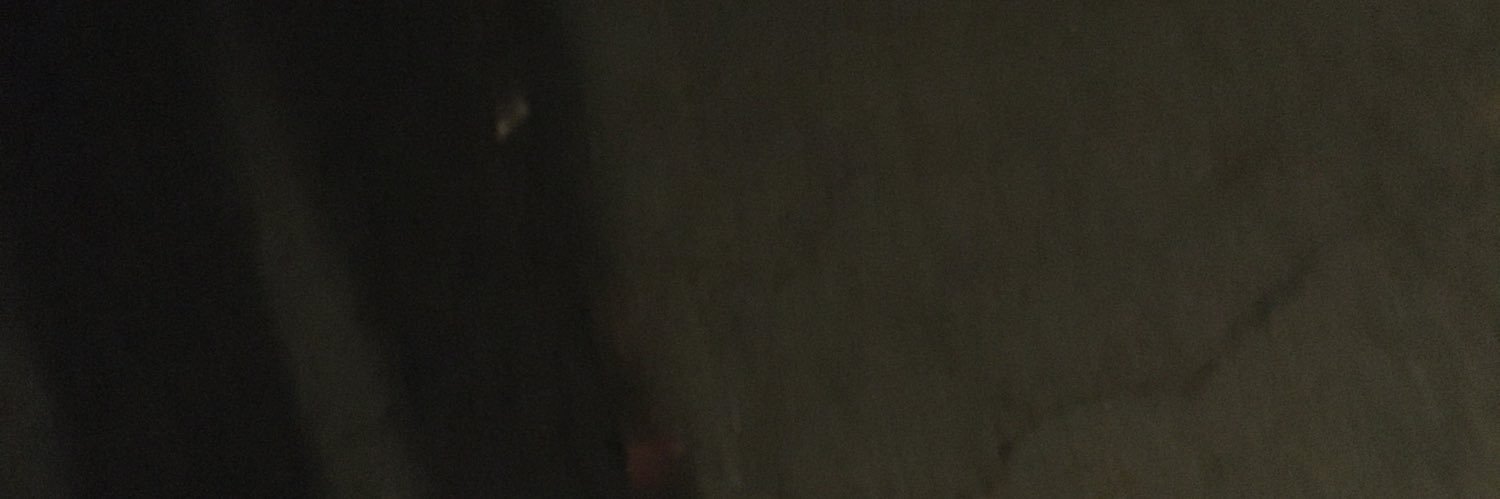 femdomslave111's profile banner image