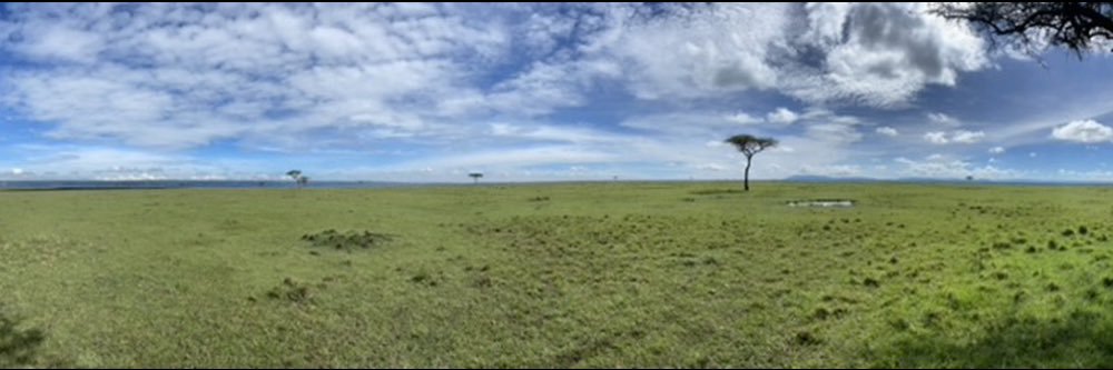 Alexis Bonillo banner