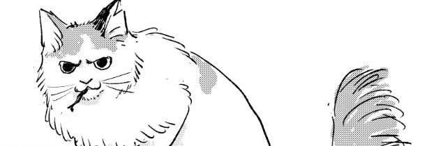 nya2_cc's profile banner image