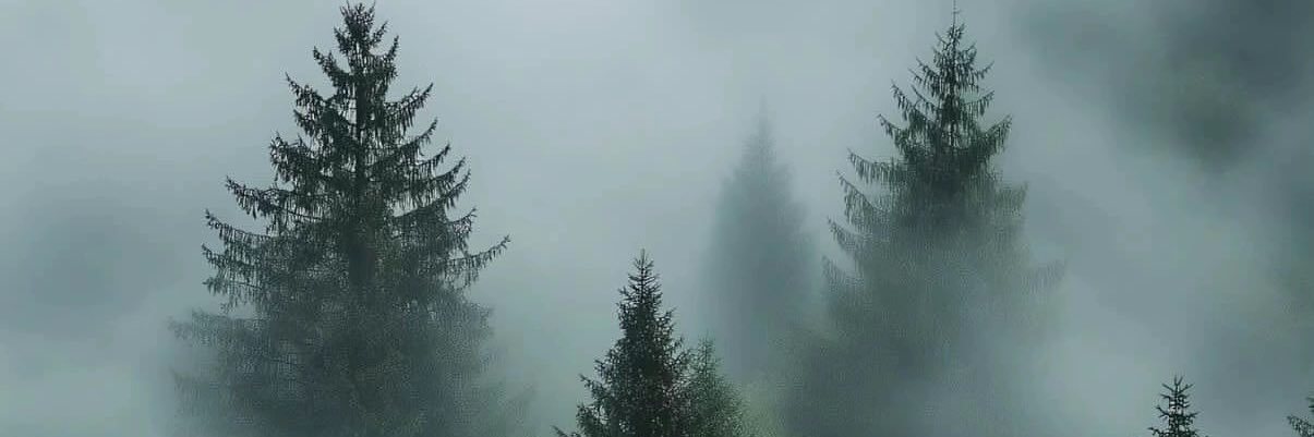 CadeCalvert22's profile banner image