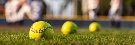 Laura Olson banner