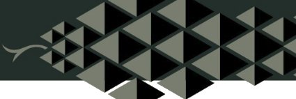 katarisoft's profile banner image