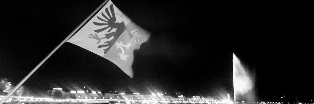 Dodo banner