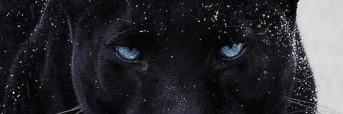 _ljacoleee's profile banner image