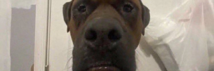 Rogermazos's profile banner image