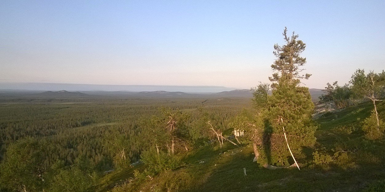 LauraSLauri1's profile banner image