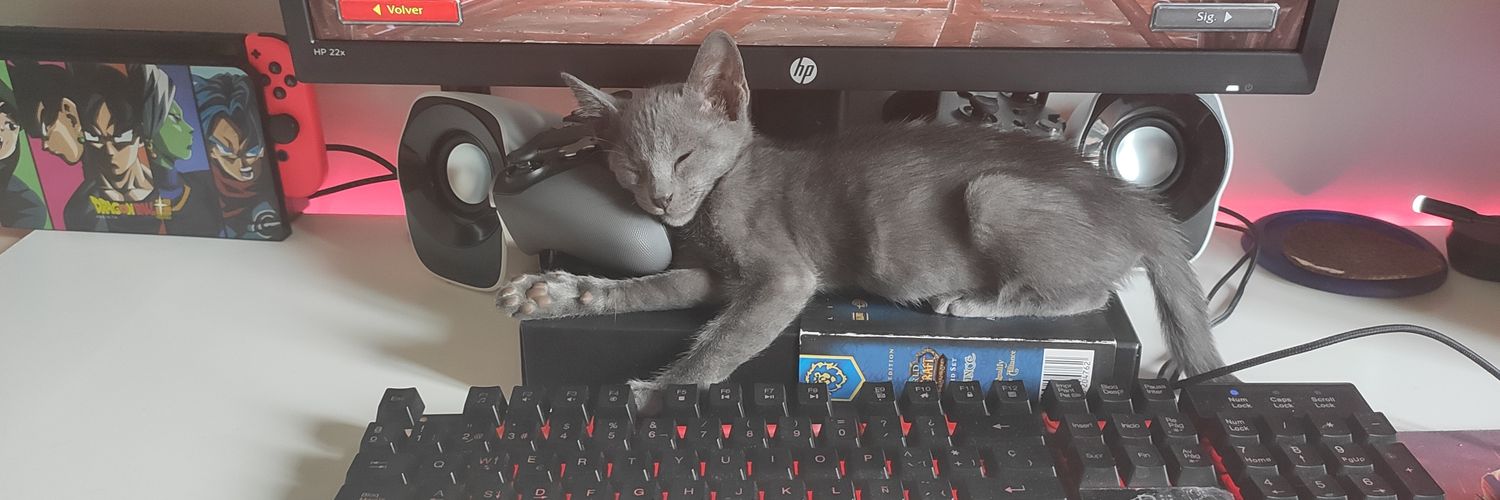 MeryRem_x's profile banner image